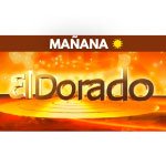 dorado mañana