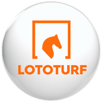 es lototurf